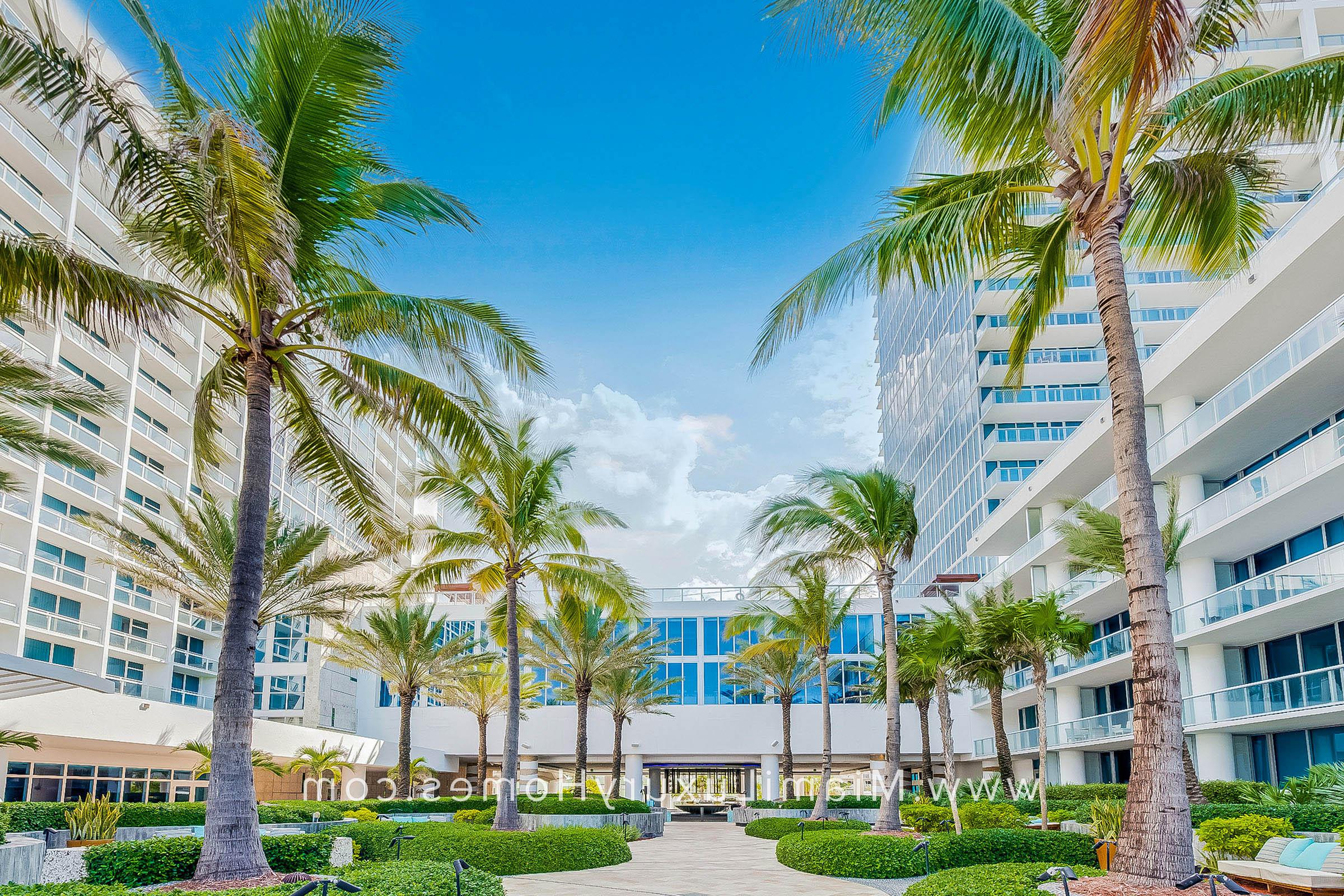 迈阿密海滩Carillon酒店 Grounds